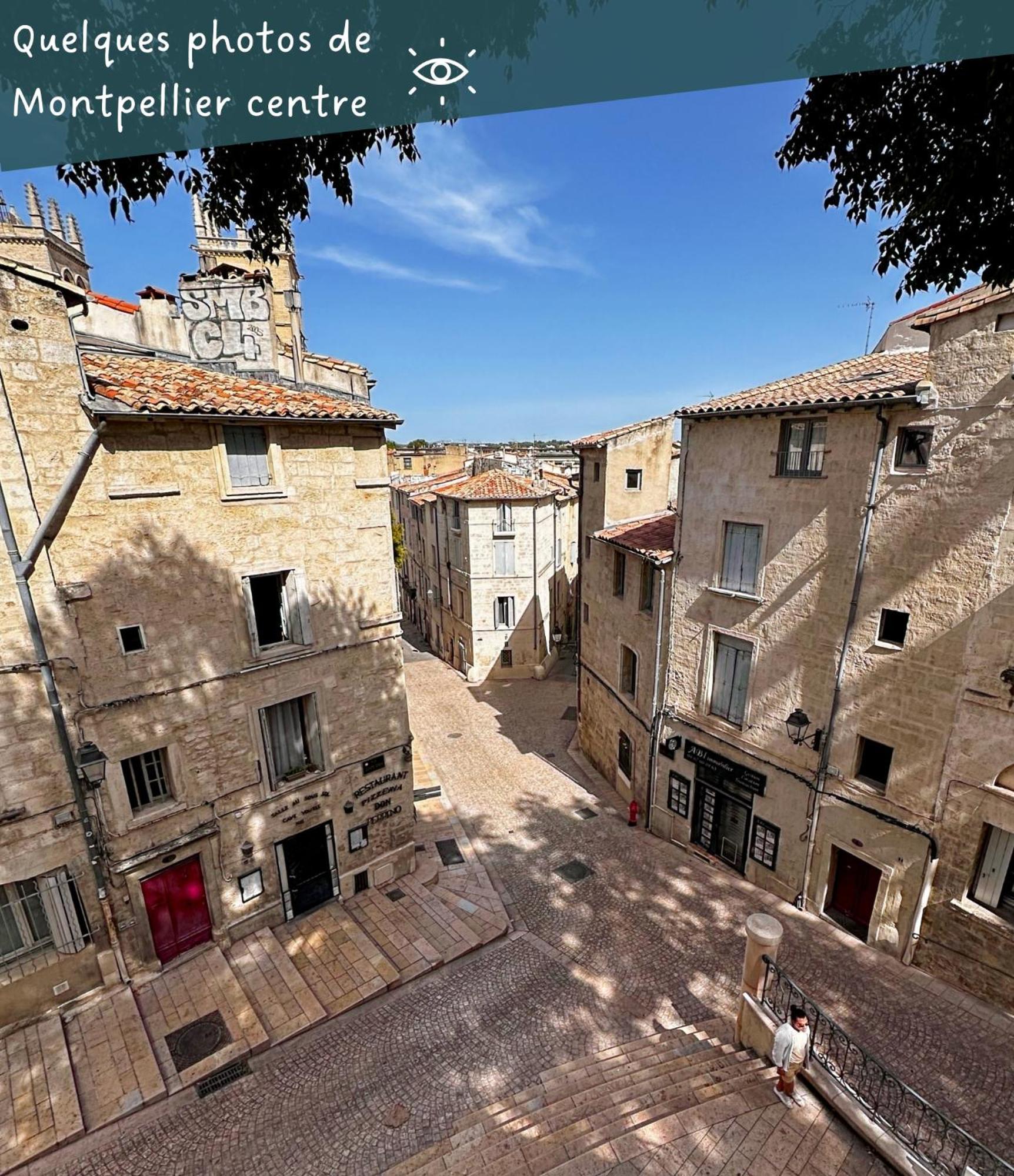 Appartement Entier Cosy Avec Balcon - Centre Μονπελιέ Εξωτερικό φωτογραφία